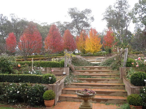 Wejalee Bed And Breakfast - Accommodation Coffs Harbour 1