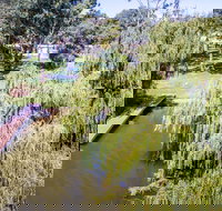 731 East front road Via Mannum -River Shack Rentals - Accommodation Coffs Harbour