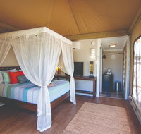Dubbo Rhino Lodge - Accommodation Coffs Harbour