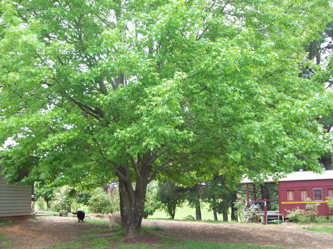 Hill End Holiday Ranch - Accommodation Coffs Harbour 0