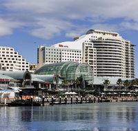 ibis Sydney Darling Harbour - Accommodation Coffs Harbour