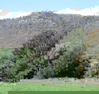 Jessica's Guest House and Vineyard - Accommodation Coffs Harbour