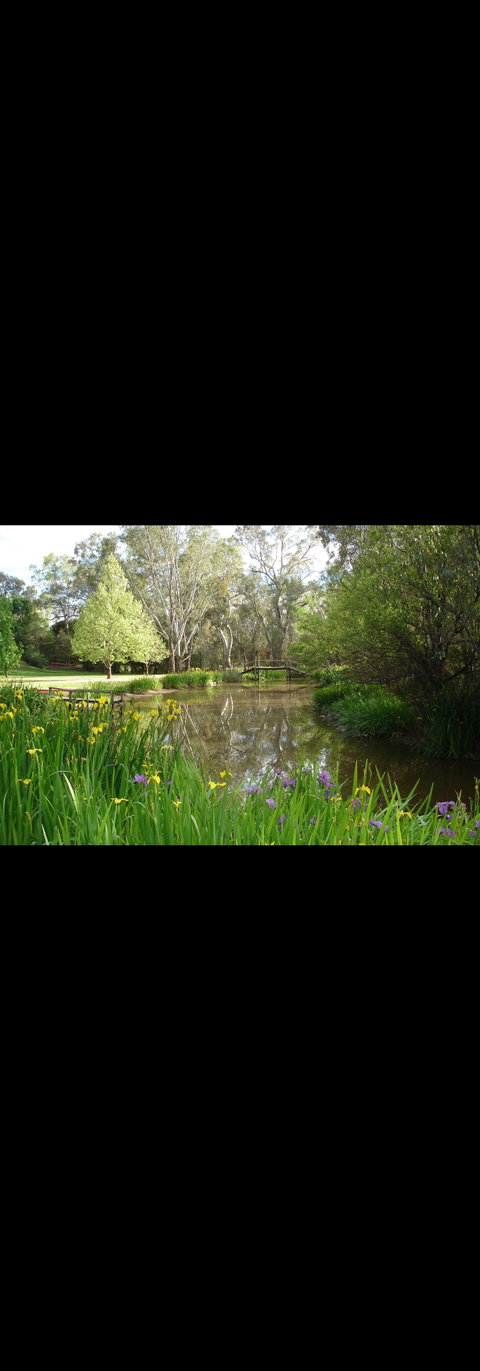 Murray Bank Holiday Units - Accommodation Coffs Harbour 0