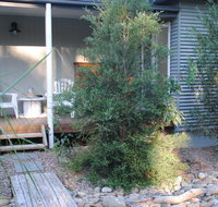 Native B and B - Callala Bay - Accommodation Coffs Harbour
