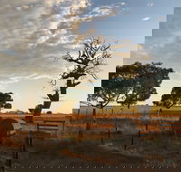 Rocklea Farm - Accommodation Coffs Harbour