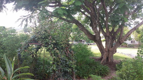 Rosehill Apartments - Accommodation Coffs Harbour 2