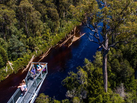 Tahune Adventures Tasmania - Lodge And Cabin - Accommodation Coffs Harbour 1