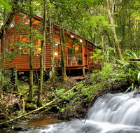 The Mouses House - Rainforest Retreat