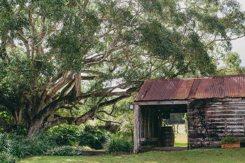 The Eumundi Dairy - Accommodation Coffs Harbour 2