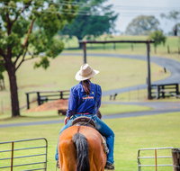 Tobruk Sydney Farm Stay - Accommodation Coffs Harbour