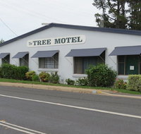Tree Motel - Accommodation Coffs Harbour