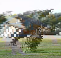 Yering Gorge Cottages - Accommodation Coffs Harbour