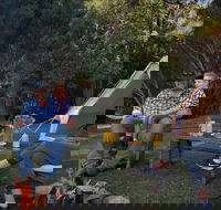 Zeehan Bush Camp - Accommodation Coffs Harbour