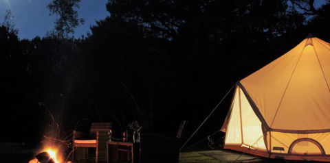 Zeehan Bush Camp - Accommodation Coffs Harbour 1