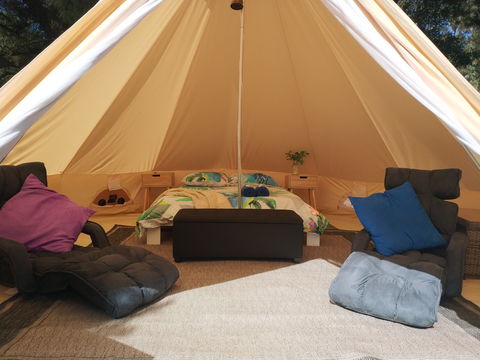 Zeehan Bush Camp - Accommodation Coffs Harbour 2
