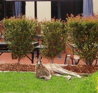 Alpha Canberra Hotel - Accommodation Coffs Harbour