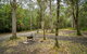 Devils Hole Campground - thumb 2