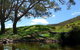 Goomburra Valley Campground - thumb 2