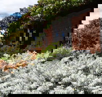 Kangaroos in the Top Paddock - Accommodation Coffs Harbour