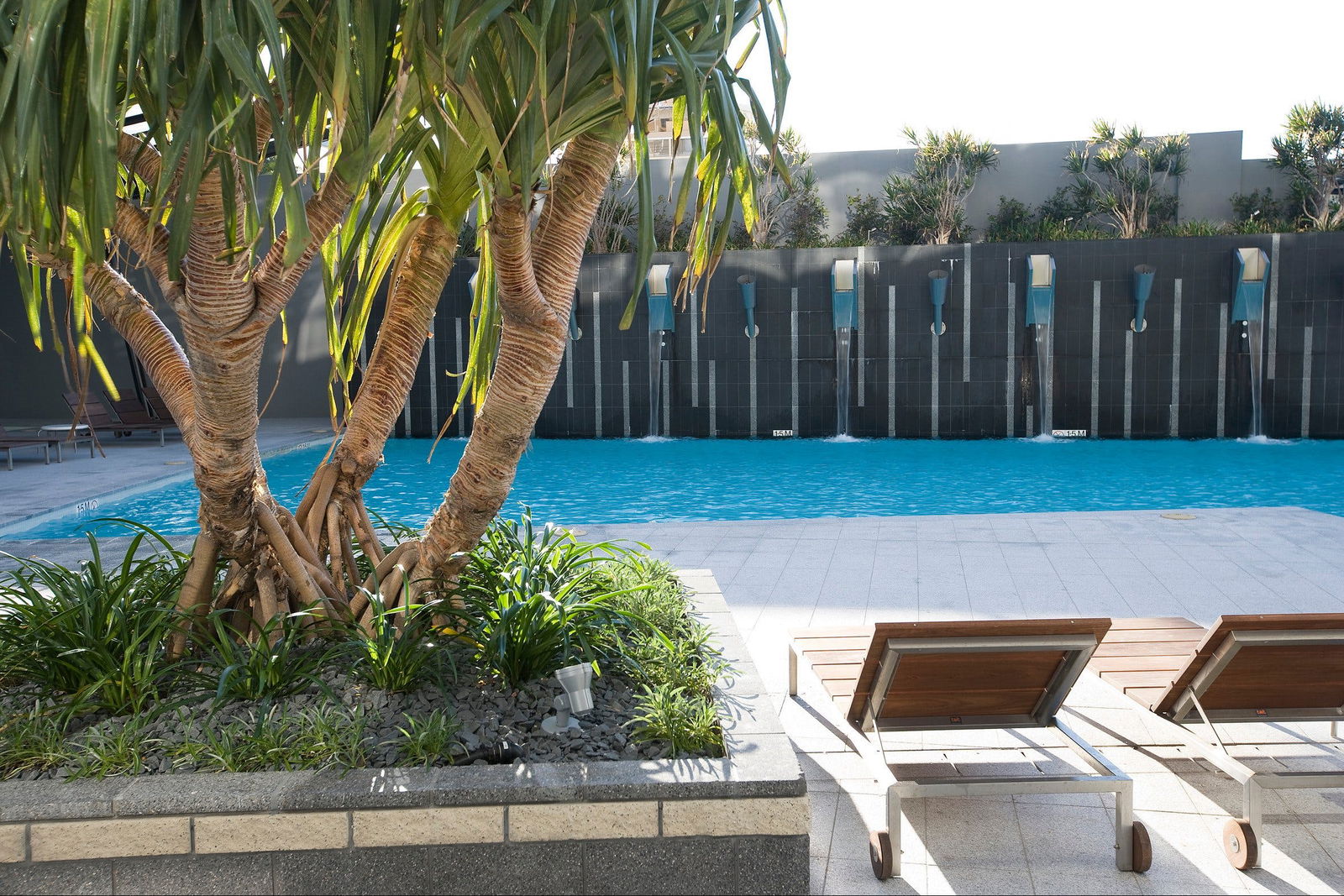 Bundall Dc QLD Accommodation Coffs Harbour