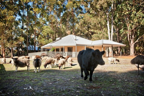 Margaret River Hideaway And Farmstay - Accommodation Coffs Harbour 1