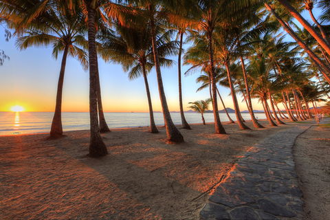 NRMA Palm Cove Holiday Park - Accommodation Coffs Harbour 0