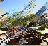 Oyster Catcher Jervis Bay - Accommodation Coffs Harbour