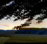 The Cabin at Gentle Annie - Accommodation Coffs Harbour