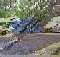 Wollomombi campground - Accommodation Coffs Harbour