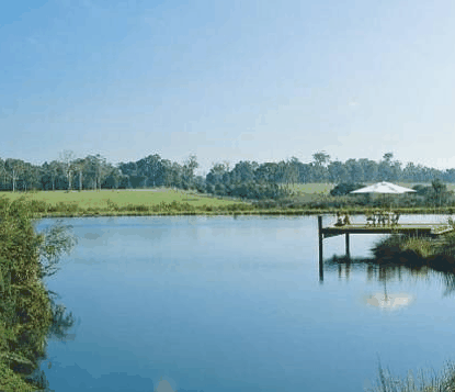 Forest Rise Eco Retreat - Accommodation Coffs Harbour