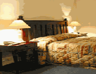 Comfort Inn Treetop Walk - Accommodation Coffs Harbour