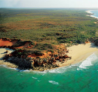 Eco Beach Wilderness Retreat - Accommodation Coffs Harbour 2