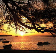 Pelican's Nest - Accommodation Coffs Harbour