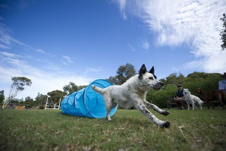 North Beach Holiday Park - Accommodation Coffs Harbour 1