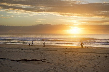 North Beach Holiday Park - Accommodation Coffs Harbour 4