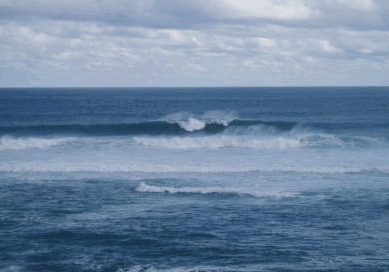 Surfpoint Resort - Accommodation Coffs Harbour 3