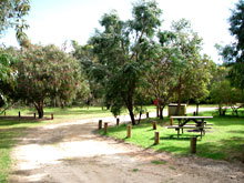 Gracetown Caravan Park - Accommodation Coffs Harbour 1