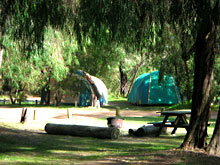 Gracetown Caravan Park - Accommodation Coffs Harbour 2
