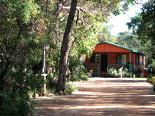 Gracetown Caravan Park - Accommodation Coffs Harbour 3