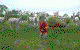 Glenhope Alpacas Self Contained B&b/farmstay - thumb 5