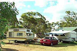 Ravensthorpe Caravan Park - Accommodation Coffs Harbour 2