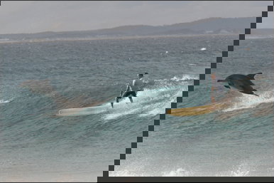 Spot X - Accommodation Coffs Harbour 2