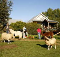 Sunnyhurst Chalets - Accommodation Coffs Harbour