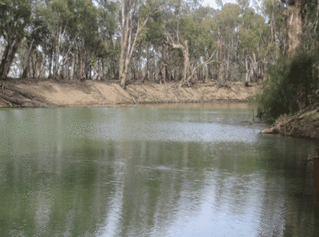 Balranald Club Motel - Accommodation Coffs Harbour 1