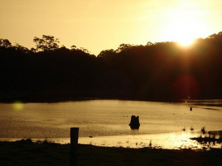 Diamond Tree Farm Stay - Accommodation Coffs Harbour 4