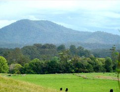 Bellingen Farmstay - Accommodation Coffs Harbour 4