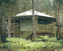 Possums Hideaway - Accommodation Coffs Harbour 0