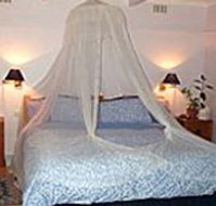 Bondi Beach Garden Sweet - Accommodation Coffs Harbour