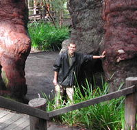 Walpole Lodge - Accommodation Coffs Harbour