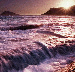 Walpole Lodge - Accommodation Coffs Harbour 1